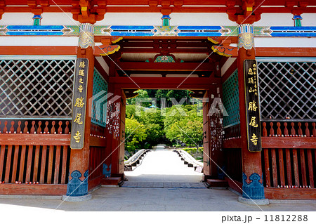 勝尾寺（勝ち寺）札所／高野山真言宗 11812288