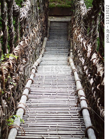 奥祖谷2重二かずら橋 11813022