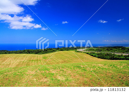 夏の仁賀保高原 夏の仁賀保高原 11813132
