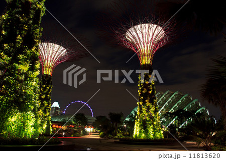 garden by the bay2 11813620