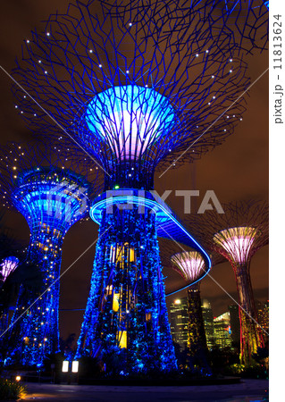 garden by the bay12 11813624