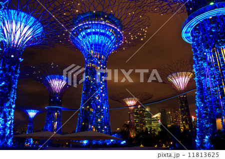 garden by the bay13 garden by the bay13 11813625
