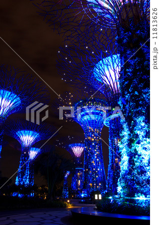 garden by the bay10 11813626