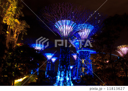 garden by the bay8 garden by the bay8 11813627