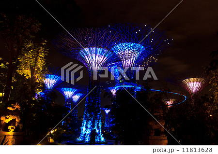 garden by the bay7 11813628