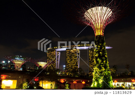 garden by the bay4 11813629