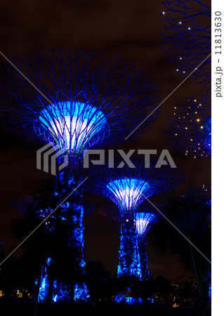 garden by the bay11 11813630