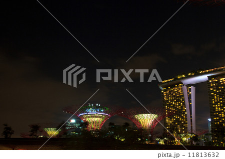 garden by the bay5 garden by the bay5 11813632
