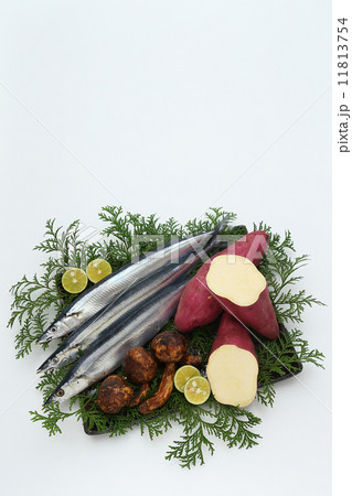 秋の旨味特選 秋の旨味特選 11813754