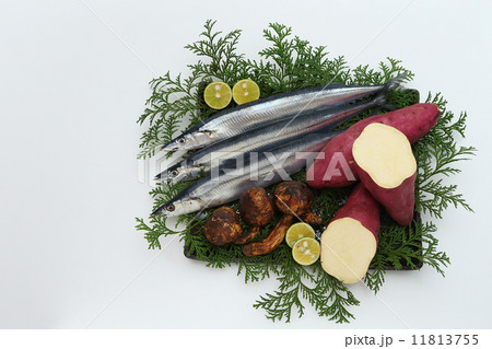 秋の旨味特選 11813755