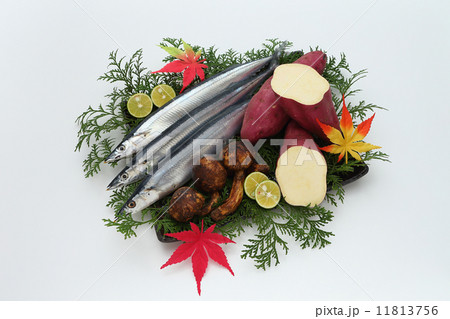 秋の旨味特選 11813756