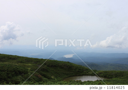 夏の北海道 夏の北海道 11814025