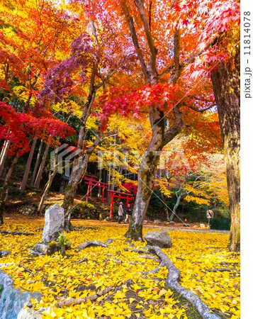 丹波篠山の洞光寺 11814078