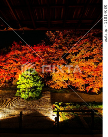 南禅寺・天授庵の紅葉ライトアップ 南禅寺・天授庵の紅葉ライトアップ 11814080