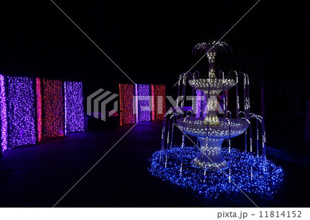 夜の春日大社神苑イルミネーション 夜の春日大社神苑イルミネーション 11814152