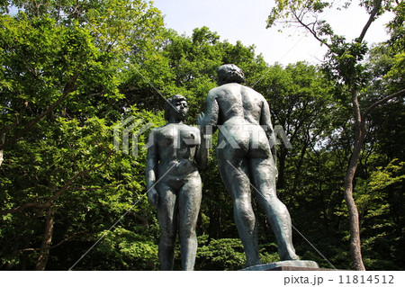 早朝の十和田湖 11814512