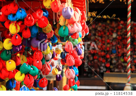 八坂で見た色彩 八坂で見た色彩 11814538