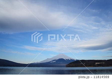 春の富士山 春の富士山 11814569