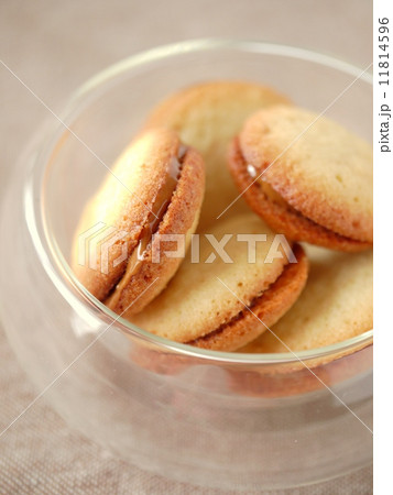 ラングドシャのプラリネクリームサンド　（縦位置） 11814596