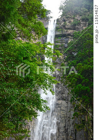 那智の瀧(和歌山県東牟婁郡那智勝浦町那智山) 那智の瀧(和歌山県東牟婁郡那智勝浦町那智山) 11814627