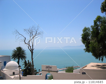 Sidi Bou Said, Tunisia - city of painter 11814685