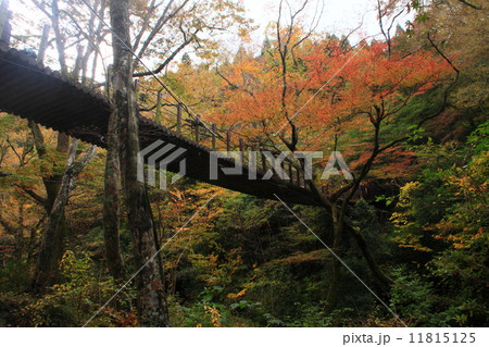 花貫渓谷 花貫渓谷 11815125