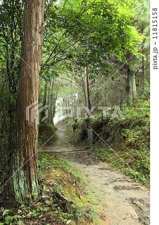山の辺の道(奈良) 山の辺の道(奈良) 11815158