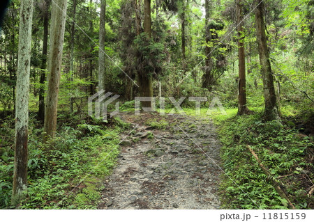 山の辺の道（奈良） 11815159