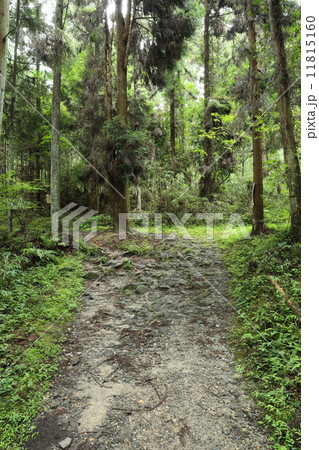 山の辺の道（奈良） 11815160