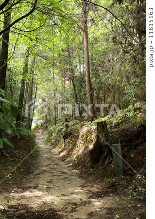 山の辺の道（奈良） 11815163