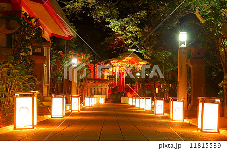 江島神社・灯籠ライトアップ 11815539