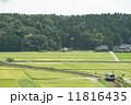 稲穂の出揃った水田の中を進むのと鉄道NT200形気動車 11816435