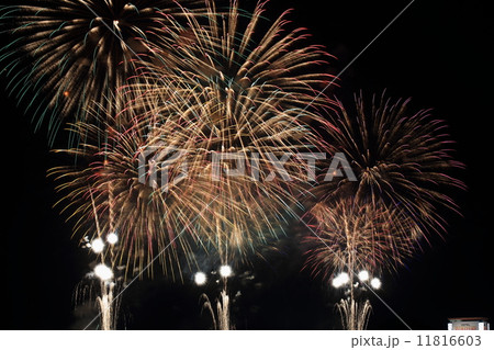 ２０１４年の古河の花火大会 11816603