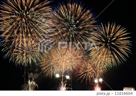 ２０１４年の古河の花火大会 11816604