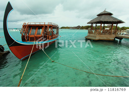 ドーニ ドーニ 11816769