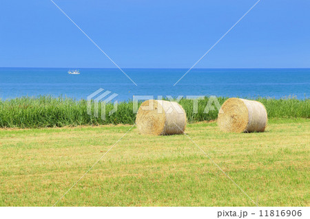 牧場と船 11816906