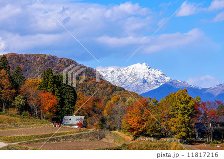 谷川岳と紅葉 11817216