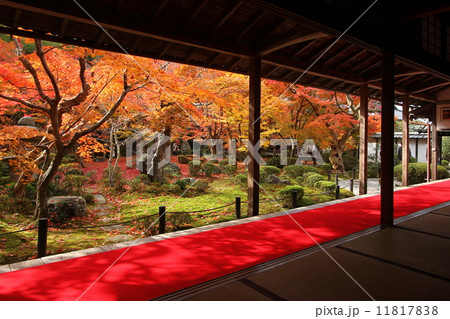 京都　秋の圓光寺 11817838