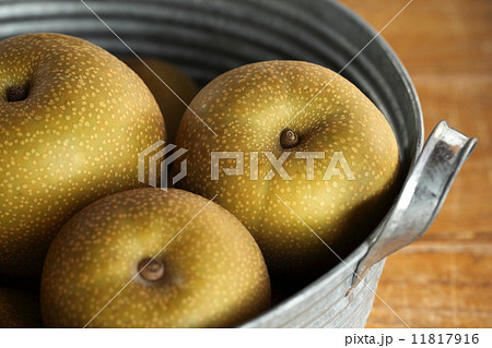 フルーツ（幸水梨) 11817916