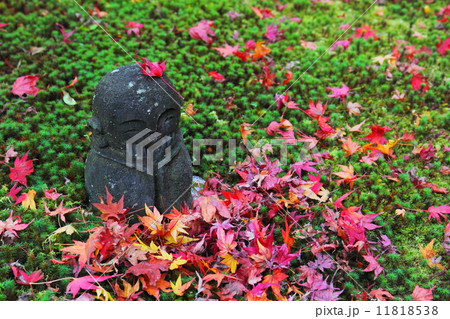 圓光寺　わらべ地蔵と散り紅葉 11818538