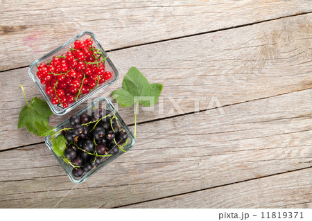 Fresh ripe currant berries Fresh ripe currant berries 11819371