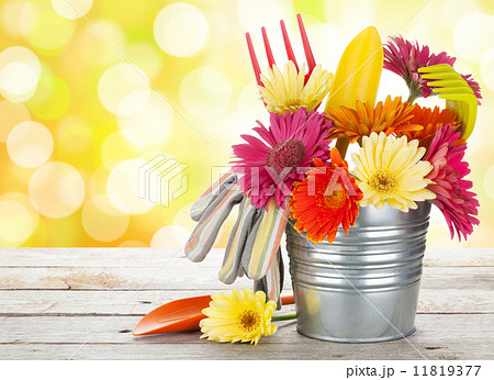 Colorful flowers and garden tools 11819377