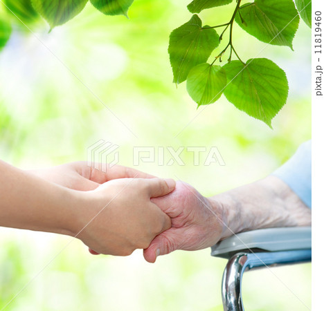 シニアの手をとる 11819460