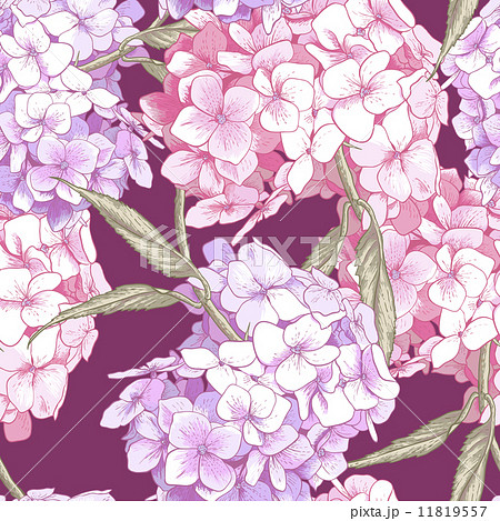 Beautiful Pink Hydrangea Seamless Background 11819557