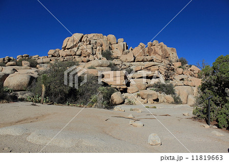ジョシュアツリー国立公園 11819663