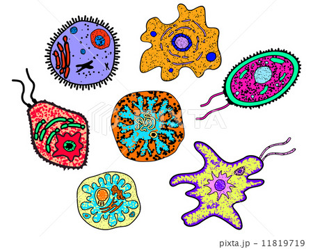 Cartoon amebas, germs or microbial lifeforms Cartoon amebas, germs or microbial lifeforms 11819719