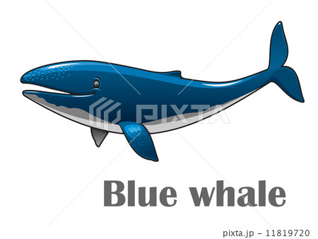 Cartoon blue whale 11819720