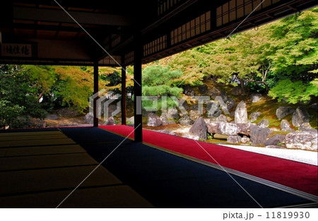 京都圓徳院の庭園風景 11819930