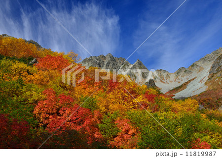 紅葉の涸沢 11819987