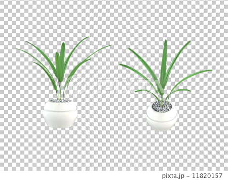 檳榔雅 檳榔雅 11820157